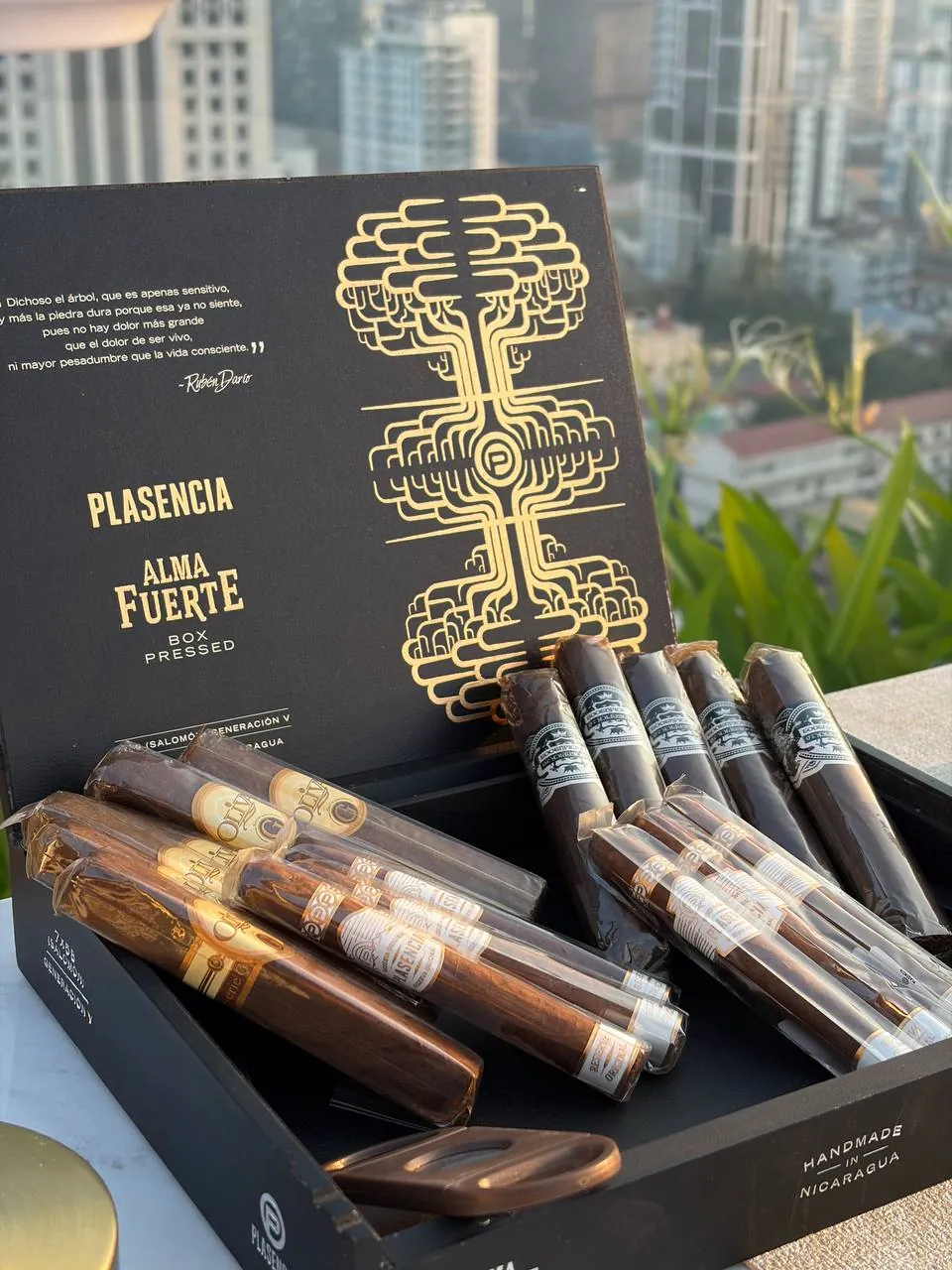 Plasencia Alma Fuerte cigars